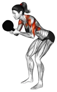 Kettlebell Angled Press thumbnail thumbnail