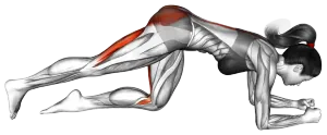 Bent-Leg Kick thumbnail thumbnail