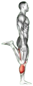 Knee Flexion thumbnail thumbnail