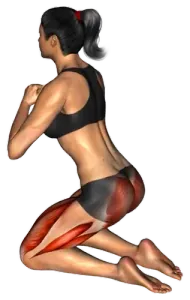 Kneeling Hip Thrust thumbnail thumbnail