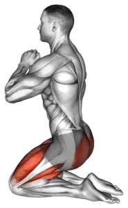 Exercise video 2