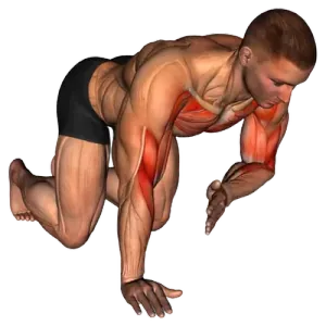 Exercise video 2