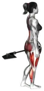 Exercise video 2