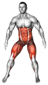 Lateral Shuffle Tap Squat demo video 2
