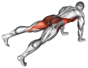 Leg Extension Plank thumbnail