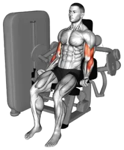 Machine Neutral-Grip Bicep Curl demo video 3