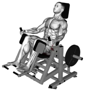 Lever Glute Abductor Press demo video 2