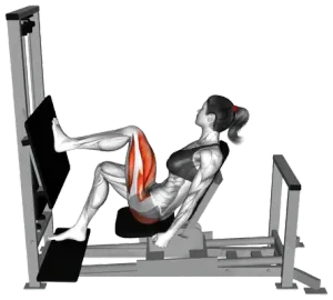 Lever Single-Leg Horizontal Press thumbnail