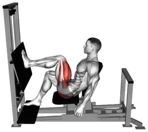 Exercise video 2