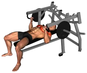 Lever Lying Chest Press demo video 2