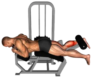Lying Single-Leg Hamstring Curl demo video 2