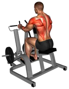 Lever Seated Neutral-Grip Row thumbnail thumbnail
