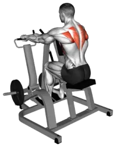 Lever Seated Pronated-Grip Scapular Retraction Shrug thumbnail thumbnail
