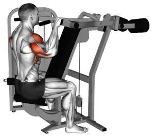 Lever Seated Reverse Shoulder Press thumbnail thumbnail