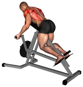 Exercise video 2