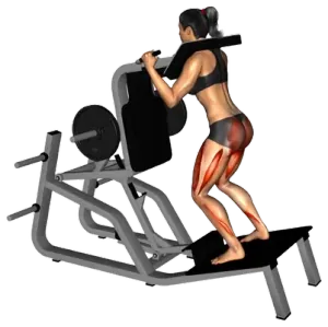 Lever Reverse Hack Vertical Squat thumbnail thumbnail