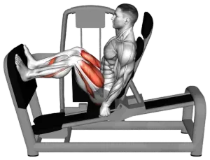 Machine Seated Leg Press demo video 2