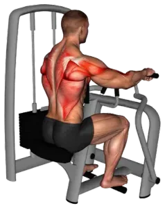 Machine Chest Supported Row demo video 2