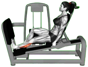 Lever Seated Single Calf Press thumbnail thumbnail
