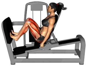 Machine Lever Seated Calf Leg Press Raise thumbnail