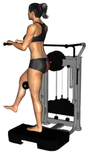 Lever Standing Rear Kick thumbnail