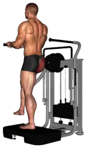 Exercise video 2