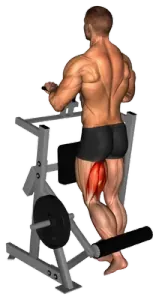 Exercise video 2