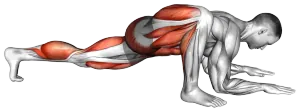 Lizard Pose demo video 2