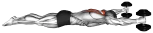 Prone Y-Raise thumbnail thumbnail
