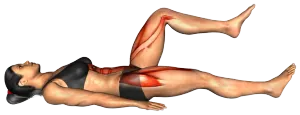 Alternating Bent-Leg Raise thumbnail thumbnail