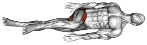 Lying Bent-Knee Figure 8 thumbnail