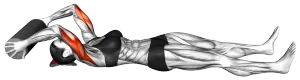 Lying Triceps Extension Pillow thumbnail thumbnail