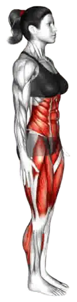 Majorette Twist thumbnail thumbnail