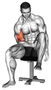 Exercise video 2