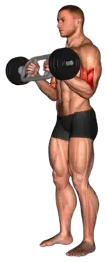 Exercise video 2