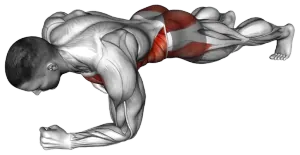Exercise video 2