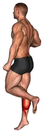 Exercise video 2