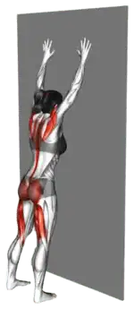 Alternating Against-Wall Arm Leg Raise thumbnail thumbnail