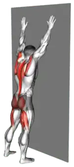 Exercise video 2