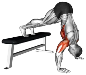 Pike Push-Up demo video 2