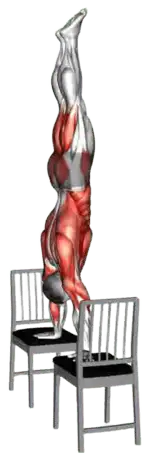 Chair Planche thumbnail thumbnail