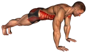 Hand Plank demo video 2