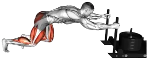 Sled Power Push demo video 2