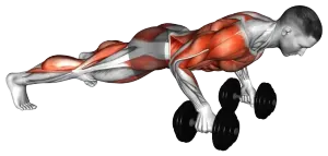 Push-Up Row demo video 2