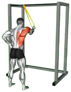 Resistance-Band Straight-Arm Across-Body Single Sup thumbnail thumbnail