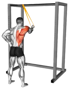 Resistance-Band Straight-Arm Across-Body Single Supinated Pulldown thumbnail thumbnail