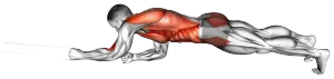 Resistance-Band Elbow Plank with Single-Arm Pulldown thumbnail thumbnail