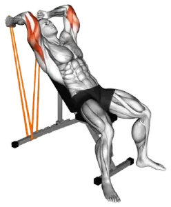 Resistance-Band Incline Triceps Extension thumbnail thumbnail