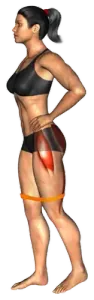 Band Glute Kickback Hold thumbnail thumbnail