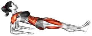 Reverse Elbow Plank thumbnail thumbnail